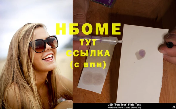 дмт Алзамай