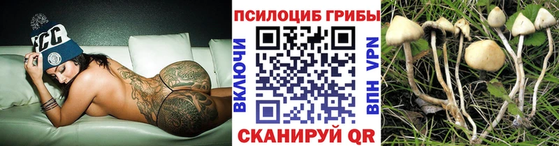 Галлюциногенные грибы MAGIC MUSHROOMS  хочу   Кола 